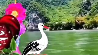 islami video