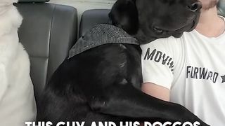 These two are the most pawfect passengers ever! ????????