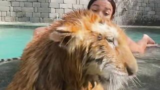 #cat #catlover #cats #petlover #funnycat #funny #viral #video #shorts #reels #funnyanimal #virus #dogs #funnydogs #pets