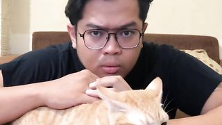 #cat #catlover #cats #petlover #funnycat #funny #viral #video #shorts #reels #funnyanimal #virus #dogs #funnydogs #pets