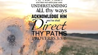 Trust In The Lord