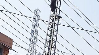 ریسکیو کی محنت و عظمت کو سلام