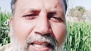 نوازشریف کی تصویر
