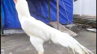 Same time as the best way