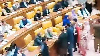 مریم صفدر