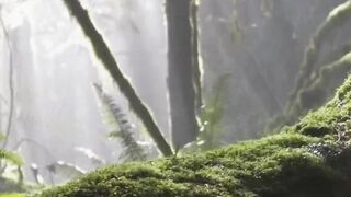 Beautiful nature