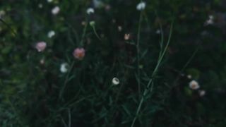 Beauty Of The Nature