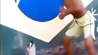 New Funny Animals ???? Funniest Cats and Dogs Videos ????????