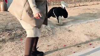 Funny video moments