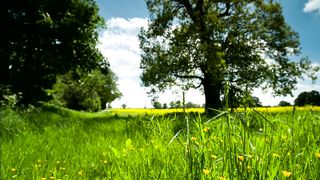 1. #naturelover
