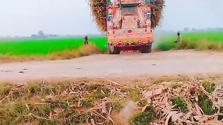 On the heavy driver Cross the road ????️