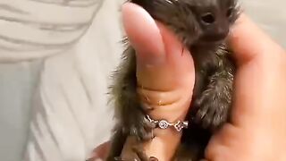 Very cute