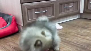 Публикую Нашего Нафаню ????  Для поднятия настроения на утро) ????☺️