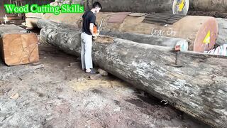 Wood Cutting Skills __ Wood Has The Most Beautiful Color You Have Ever Seen