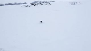 Ах, как рыбки хочется