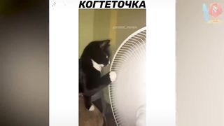 19 МИНУТ СМЕХА