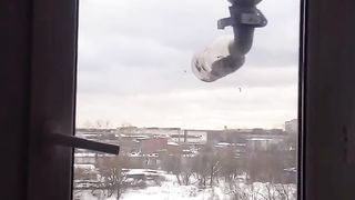 Для синиц и котов. Лучшая кормушка.