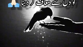 Good lines