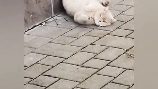 Когда ты особенная, но такая любимая мамина булочка