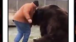 animal love