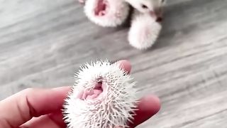 haha yeah don’t touch