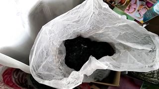 Грибы с Валдбериз, заключительная часть.