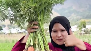 harvest fresh vegetables and cook them