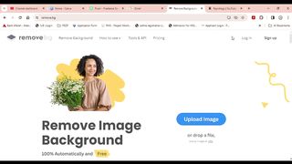 How to Remove the Picture Background easily and free