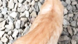 A New Friend!