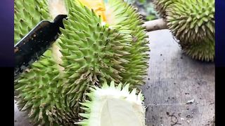 split the durian fruit