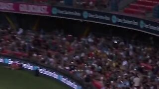 Cricket