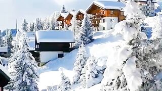Winter wonderland