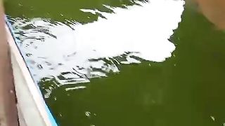 Apa fungsi DAUN PEPAYA untuk budidaya ikan lele menurut kalian❓