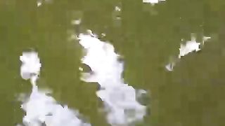 Mengurus bibit lele ukuran kecil itu menyenangkan jika sehat, tapi jika sakit, menjengkelkan ????
