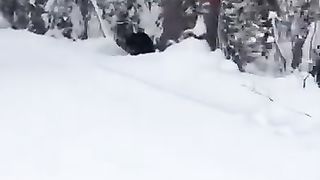 Наглость ну ни в какие ворота.