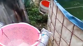 Lahan untuk usaha budidaya ikan lele WAJIB ada sumber air yang melimpah