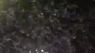 Warna air kolam HIJAU itu terbaik untuk segmen pembenihan ikan lele