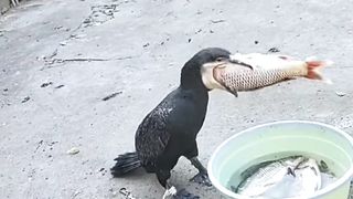 Don't bite more than what you can chew