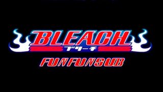Bleach Episode 28