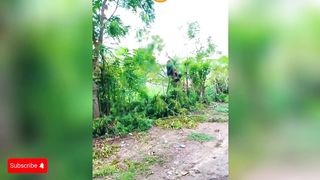 #2. Funny videos that make you laugh and entertained