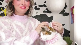 Calico with princess