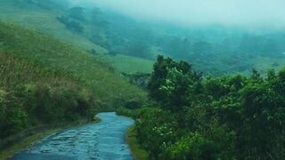 The beauty of rain (TikTok)