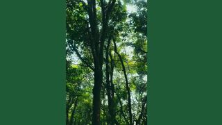 The Beauty Of Nature (TikTok)