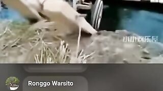 Most Funny Video