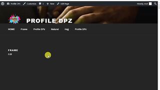 Website Designer and Development