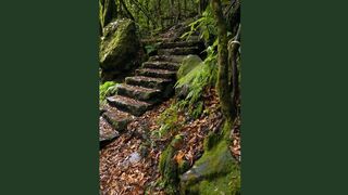 Calm Nature Relax & Enjoy - original sound (TikTok)
