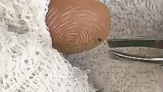 Rubber snake