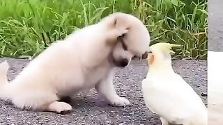 Wow! What a relationship❤❤❤❤❤