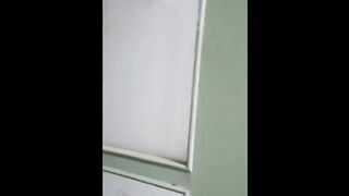 Funny cats videos 2022 try not to laugh cats