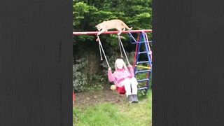 Swing Baby Girl with Jump Cat